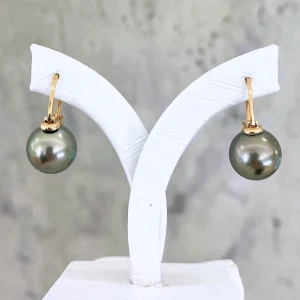 ET060403-Y-1 Black Tahitian Pearl Hoop Earrings(Yellow Gold)